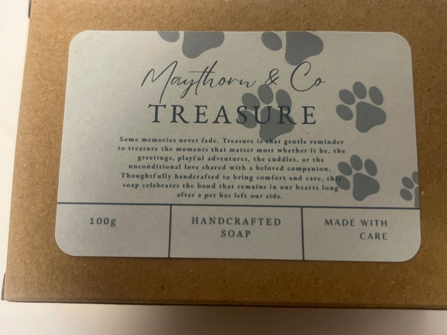 Pet Memorial Comfort Box - Treasure
